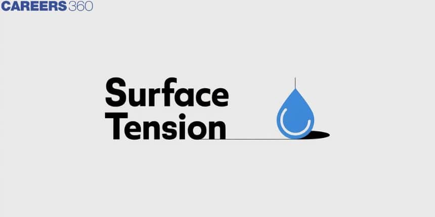 Surface Tension - Definition, Examples, Formula, Unit, Dimension, FAQs